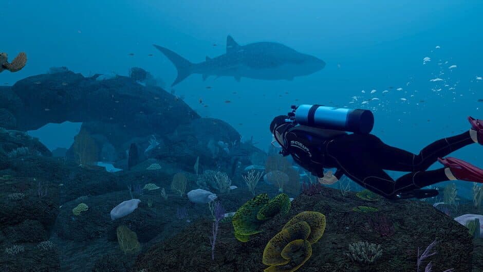 Dive with Sylvia VR banner