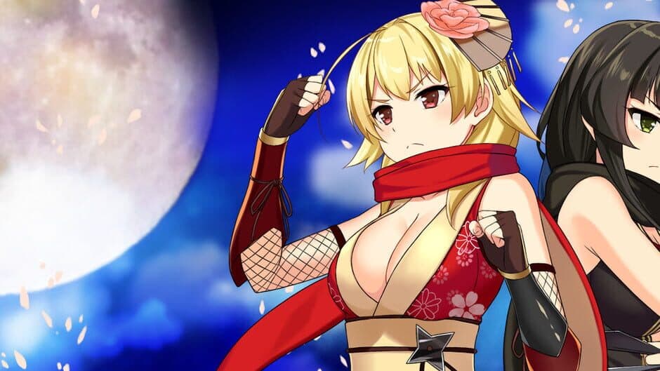 Moe! Ninja Girls banner