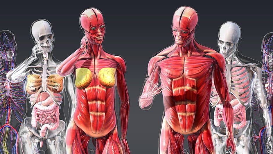 Sharecare You banner