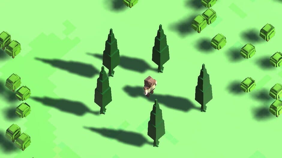 Senna and the Forest banner