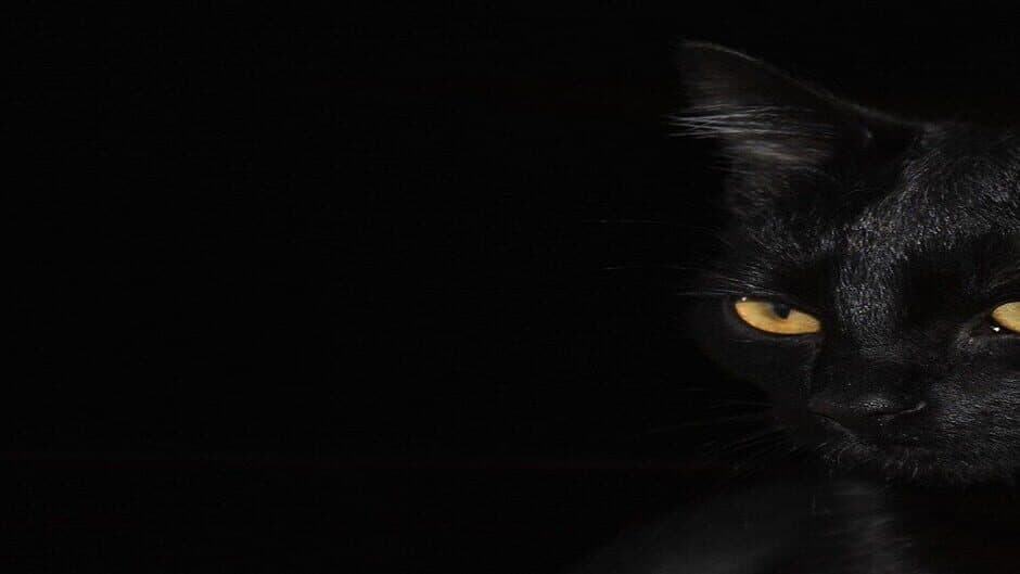 Mouse (Sneaking) banner