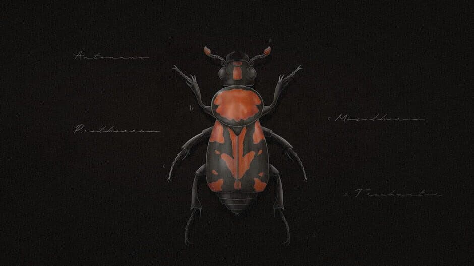 Korpus: Buried over the Black Soil banner