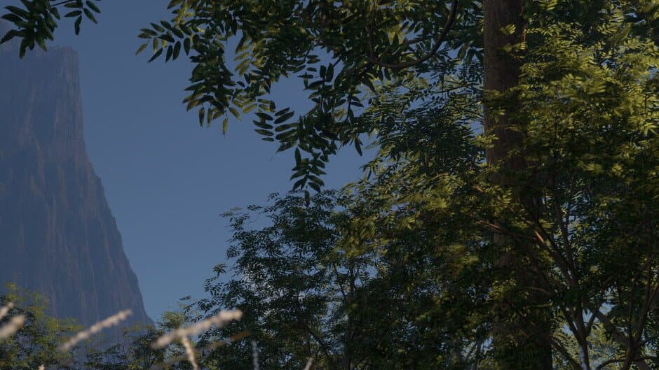 Journey of Life banner