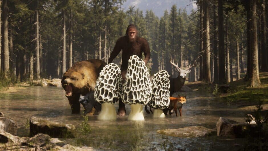 Morels: The Hunt banner