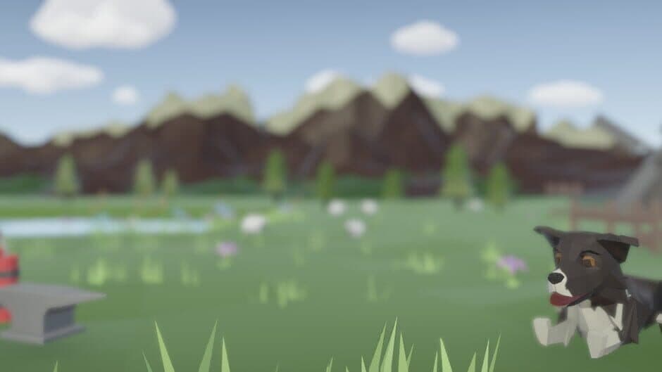 Disobedient Sheep banner