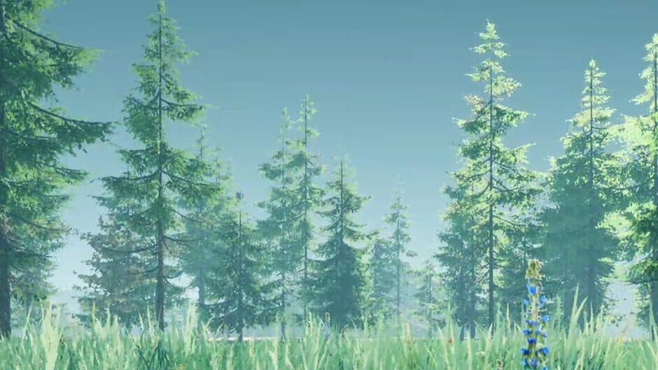 Duck Flighting banner