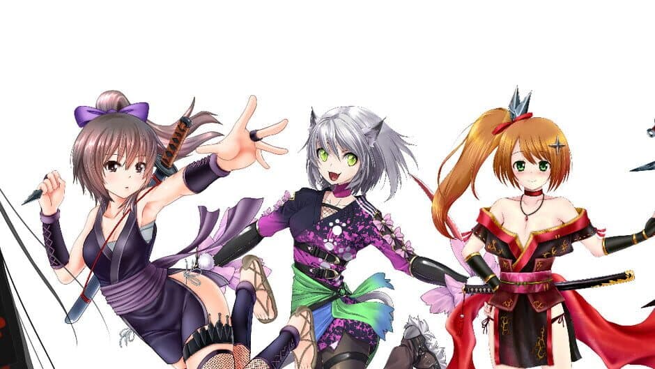 Kunoichi Ninja banner