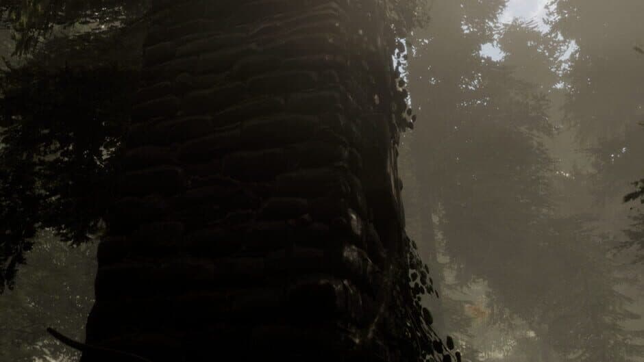 The Woods: VR Escape the Room banner