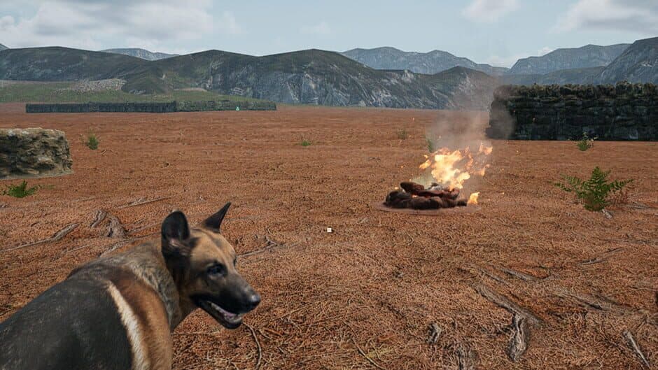 Dog Fox Bunny banner
