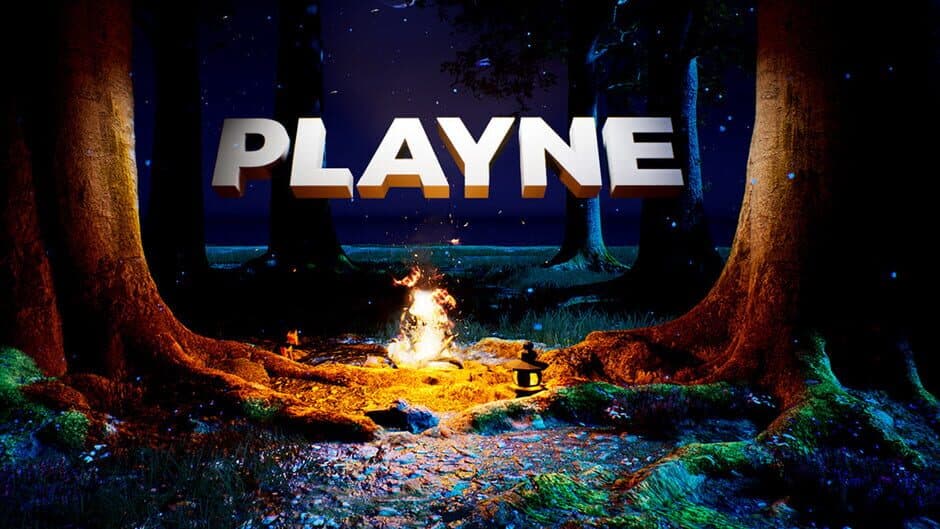 Playne banner
