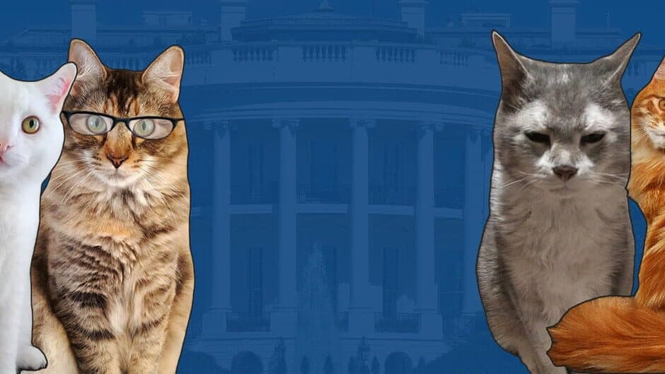 Cat President 2: Purrlitical Revolution banner