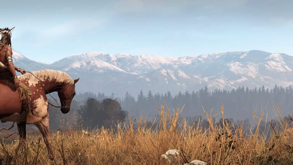 This Land Is My Land banner