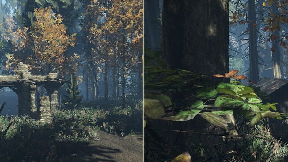 Duty on Forest banner