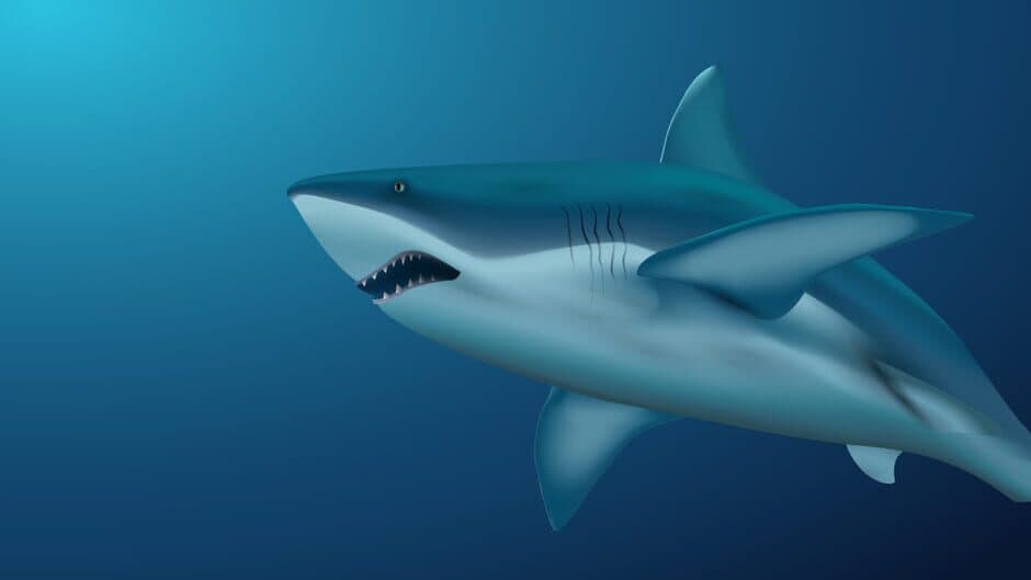 Typing with Sharks banner