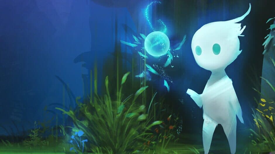 Ayni Fairyland banner