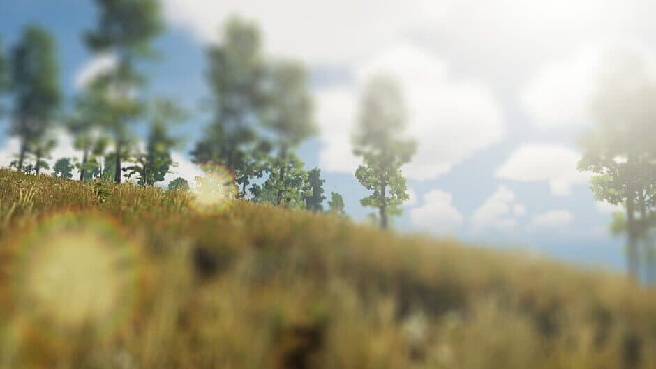 The Lost Island banner