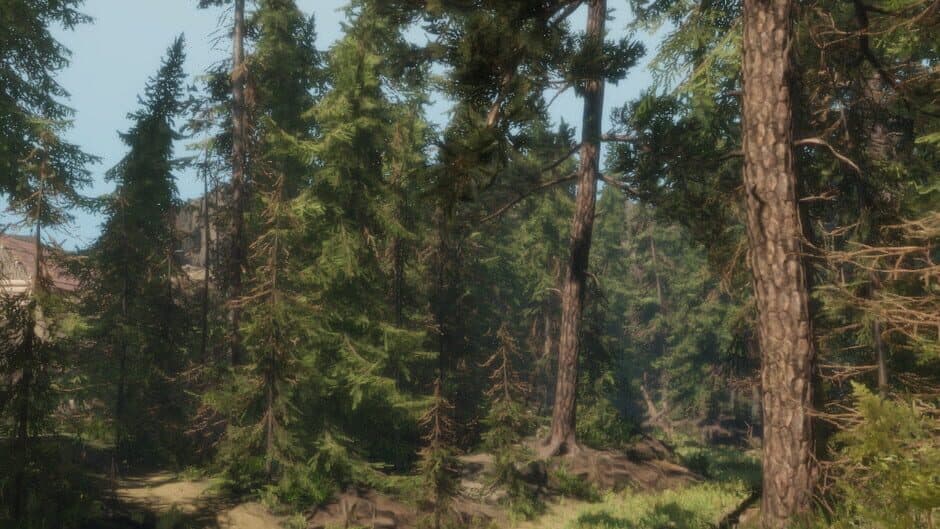 A Walk in the Woods banner