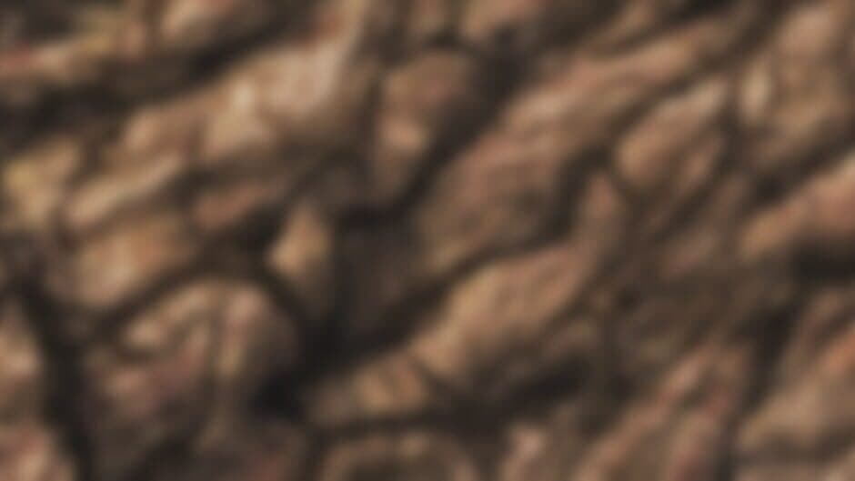 Pixel Puzzles 2: Birds banner