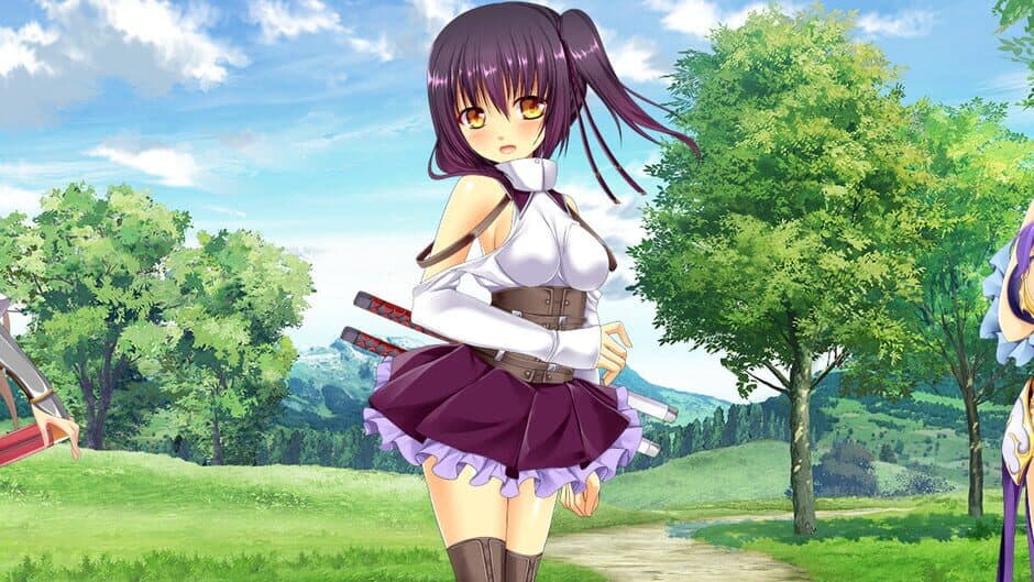 The Harem Life of the Violent Swordsman! banner