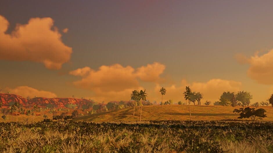 African Safari banner