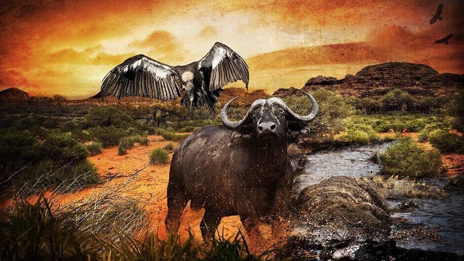 Hunter's Trophy 2: Australia banner