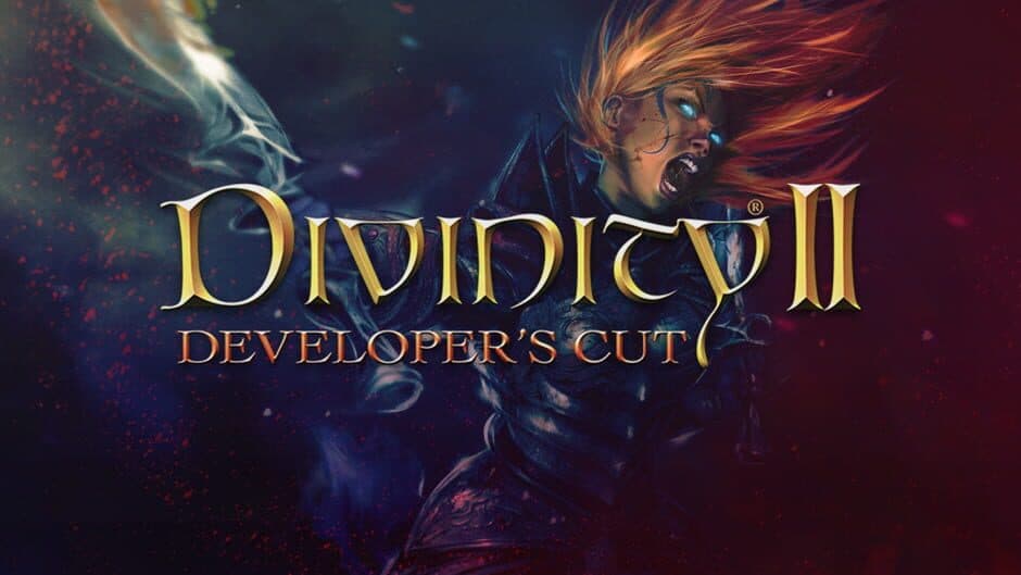 Divinity II: Developer's Cut banner