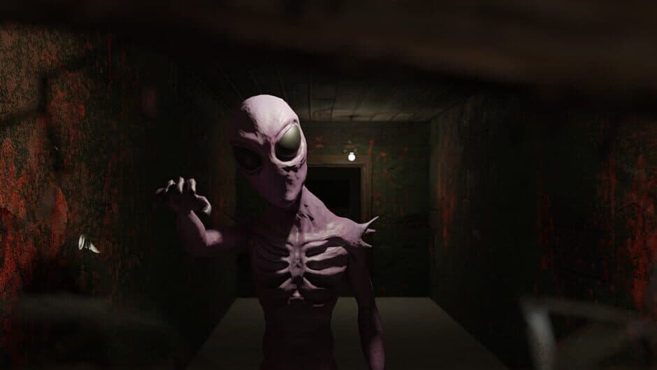 Mr. Walker's Basement banner