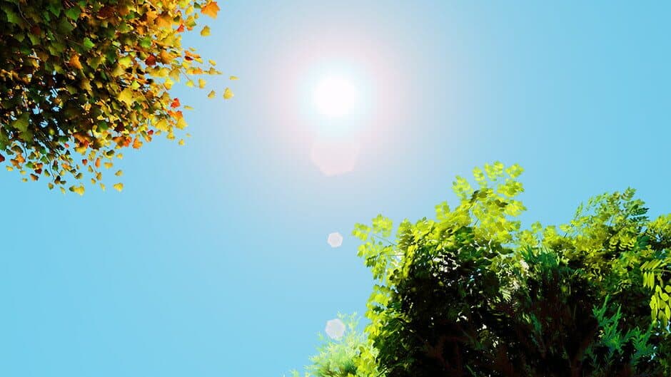 The Seasons Collection: Spring banner