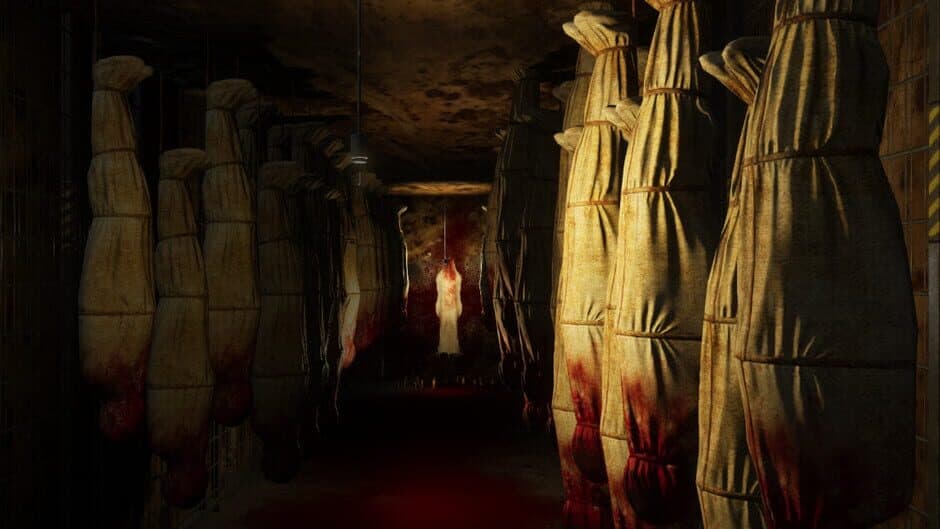 Hidden Shelter banner