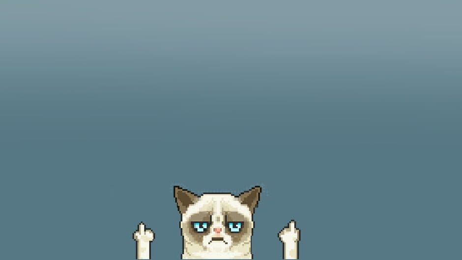 Puzzle Angry Cat banner