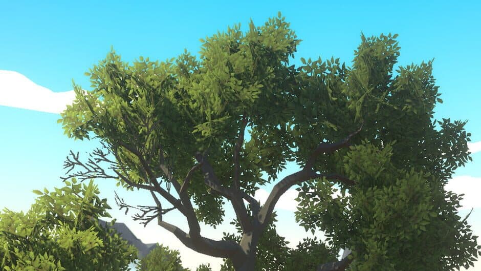 My Last Memories About You banner