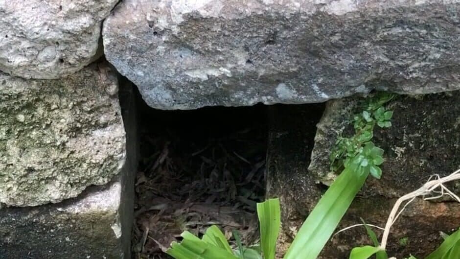 Hyper Treasure: The Legend of Macaron banner