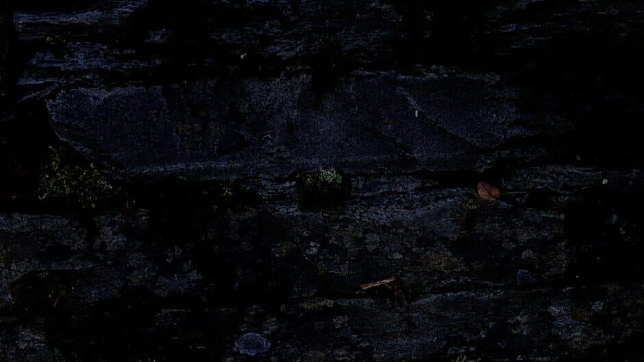 Heart of Dungeon banner