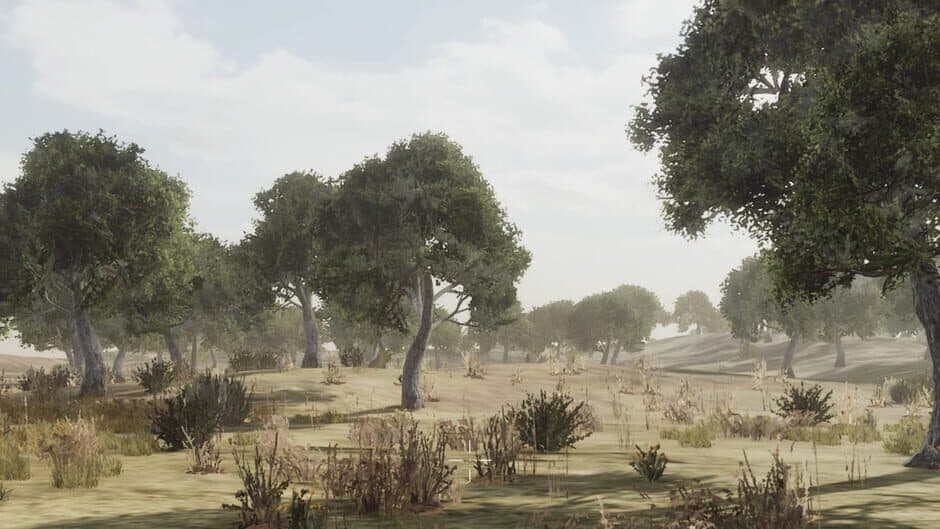 Stand of Arms banner