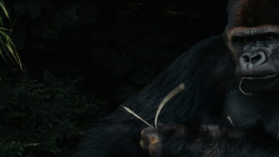 Hodl Simulator banner