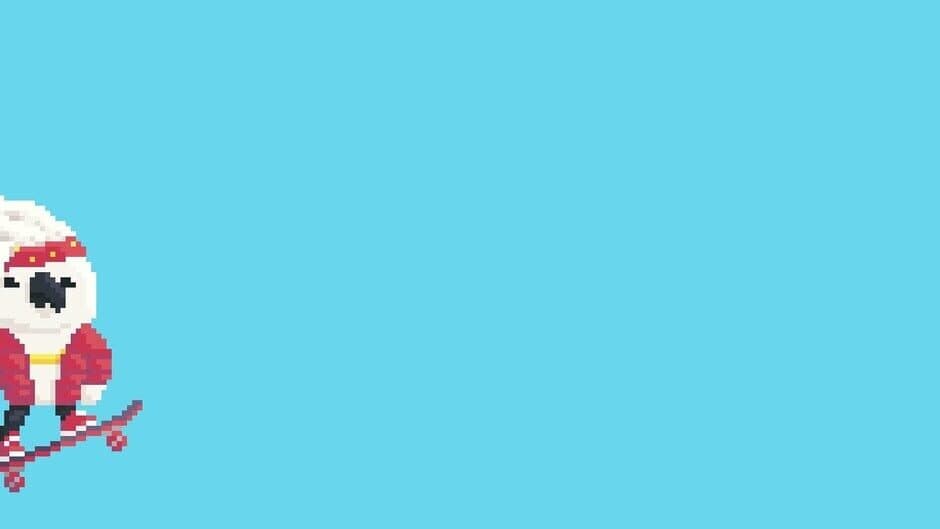 Bird Pro Skater banner