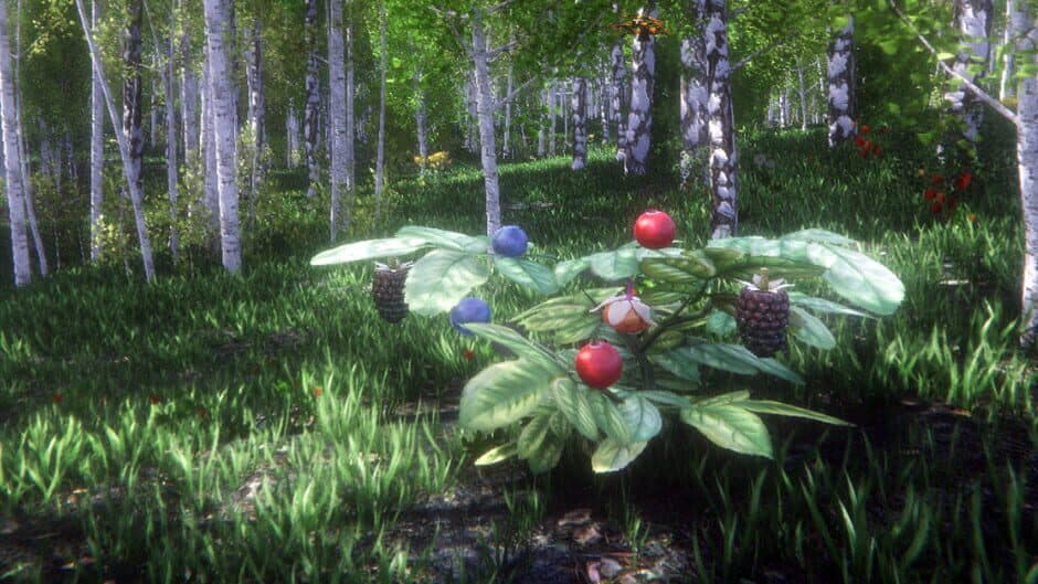 Berries Challenge banner