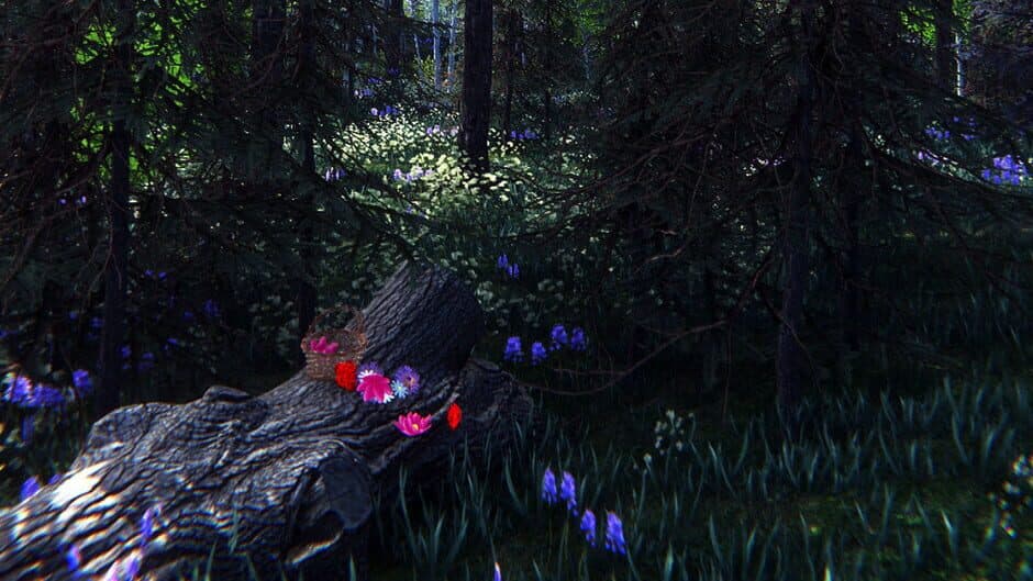 Flower Challenge banner