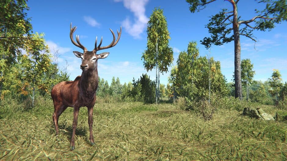 On the Hunt banner