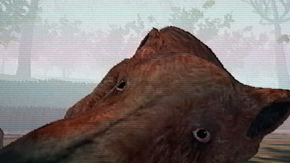 Hog Hunter 2021 banner