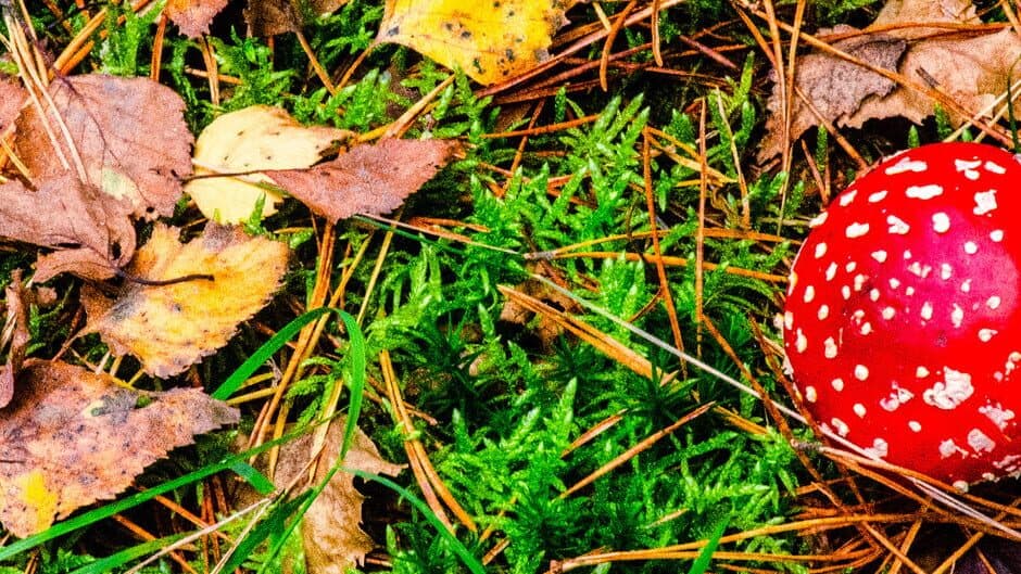 Gnome: Jigsaw Puzzles banner