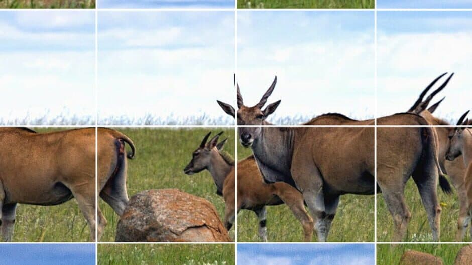 Easy puzzle: Animals 2 banner