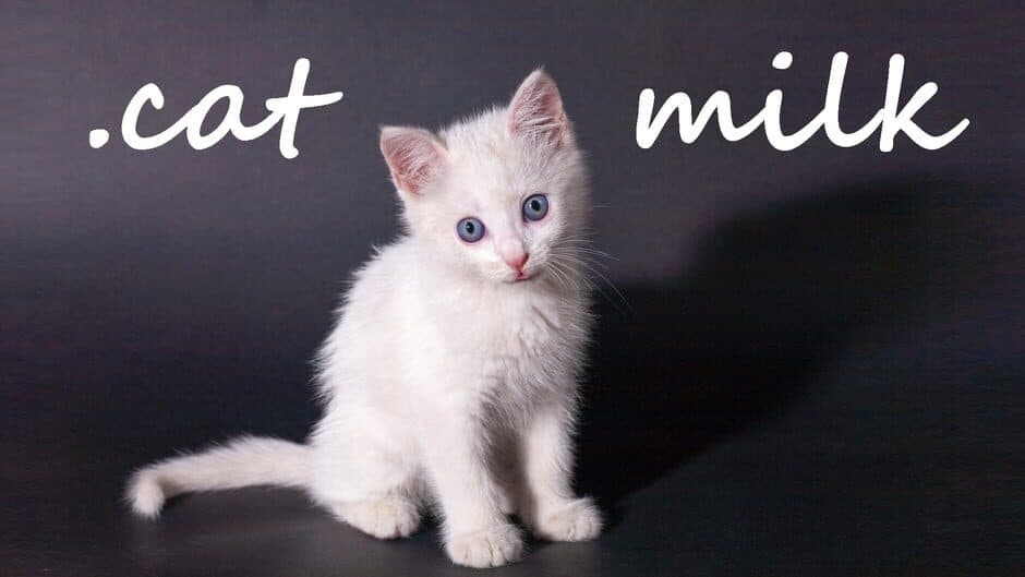 Cat Milk banner