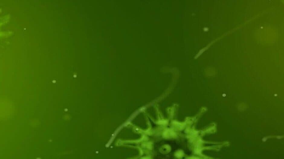 Quarantine: Global Pandemic banner