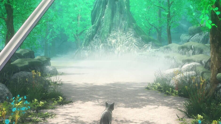 Live in Dungeon banner