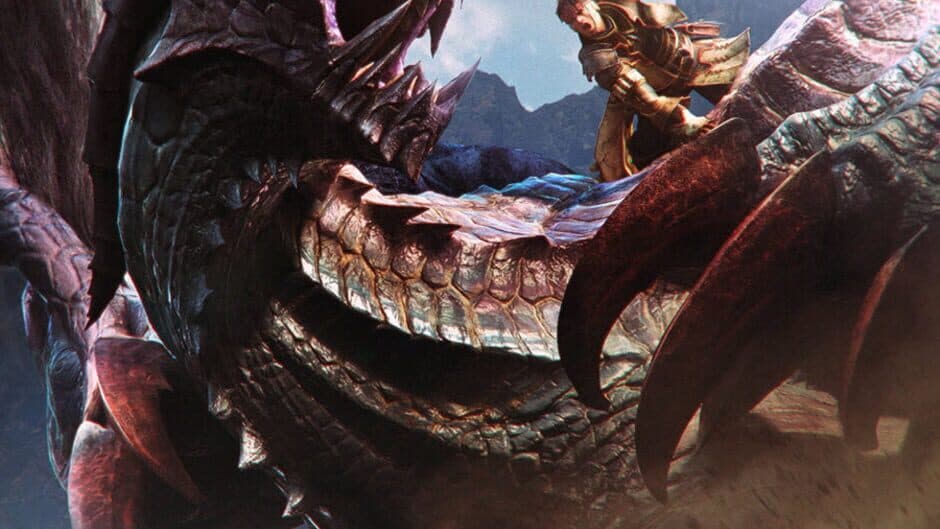 Monster Hunter 4 banner