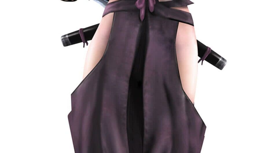 Tenchu: Fatal Shadows banner