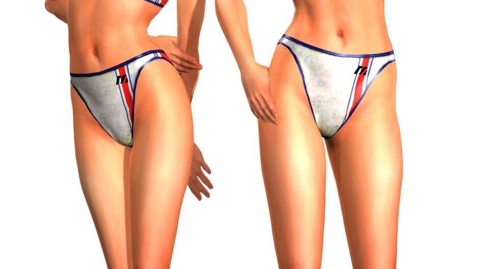 Beach Spikers banner