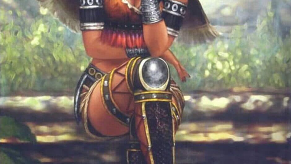 Dynasty Warriors 4 banner