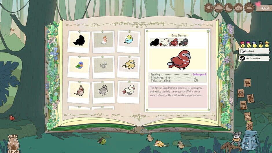 Screenshot 12
